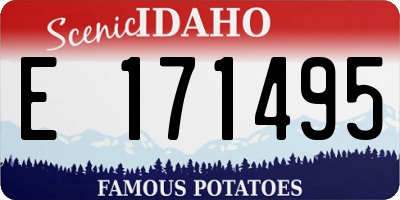 ID license plate E171495