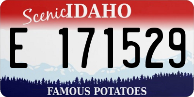 ID license plate E171529