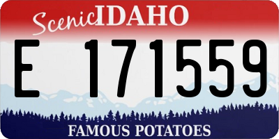 ID license plate E171559