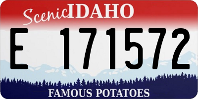 ID license plate E171572