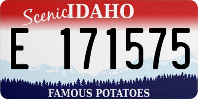 ID license plate E171575