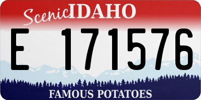 ID license plate E171576