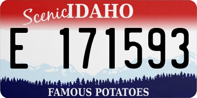 ID license plate E171593
