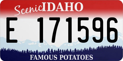 ID license plate E171596