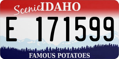 ID license plate E171599