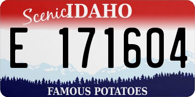 ID license plate E171604