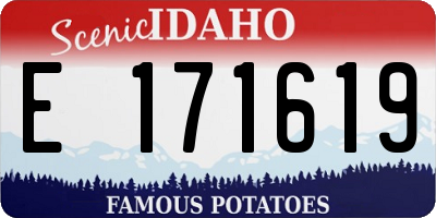 ID license plate E171619