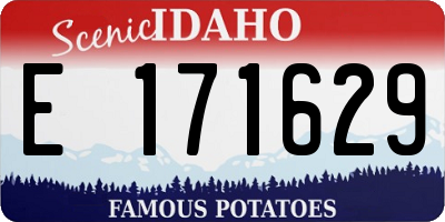 ID license plate E171629