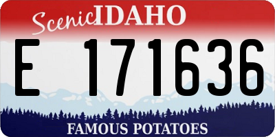 ID license plate E171636