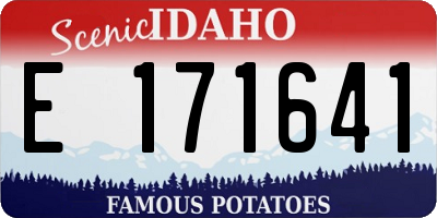 ID license plate E171641