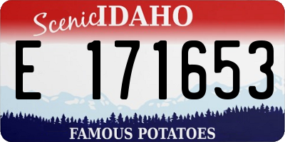 ID license plate E171653