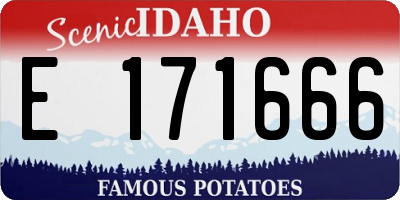 ID license plate E171666