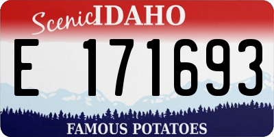 ID license plate E171693
