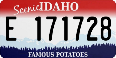 ID license plate E171728