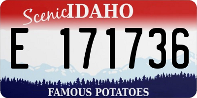 ID license plate E171736