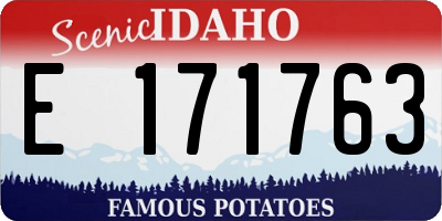 ID license plate E171763