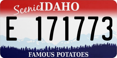ID license plate E171773