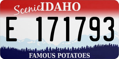 ID license plate E171793