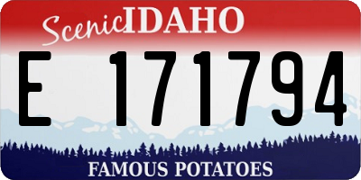 ID license plate E171794