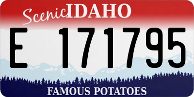 ID license plate E171795