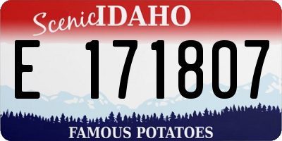 ID license plate E171807