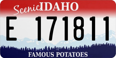 ID license plate E171811