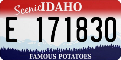 ID license plate E171830