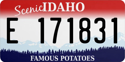 ID license plate E171831