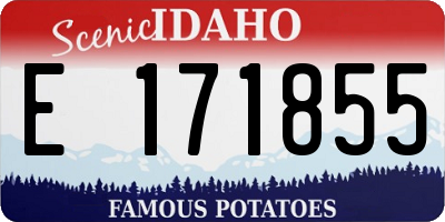 ID license plate E171855