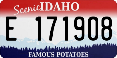 ID license plate E171908