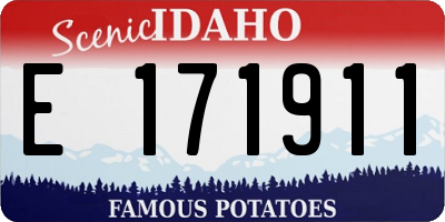 ID license plate E171911