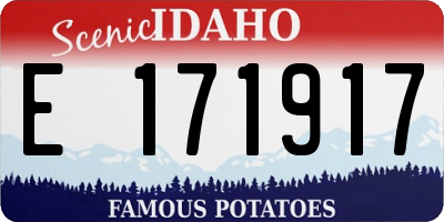 ID license plate E171917
