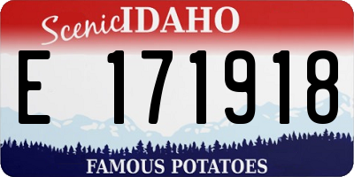 ID license plate E171918