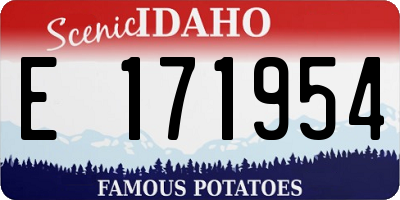ID license plate E171954