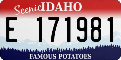 ID license plate E171981