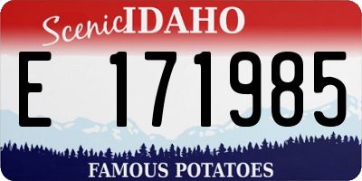 ID license plate E171985