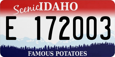 ID license plate E172003