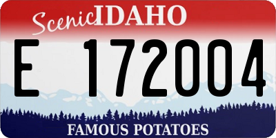 ID license plate E172004