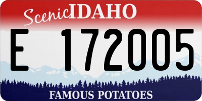 ID license plate E172005
