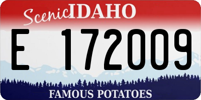 ID license plate E172009