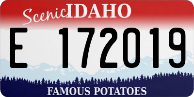 ID license plate E172019