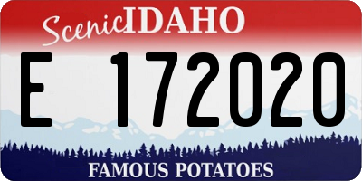 ID license plate E172020