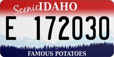 ID license plate E172030