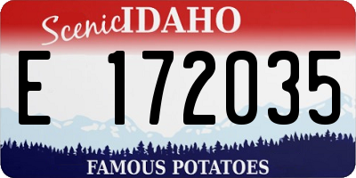 ID license plate E172035