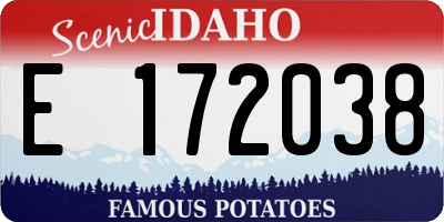 ID license plate E172038