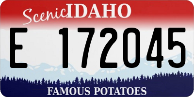 ID license plate E172045