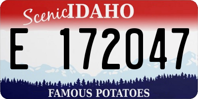 ID license plate E172047