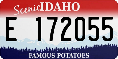 ID license plate E172055