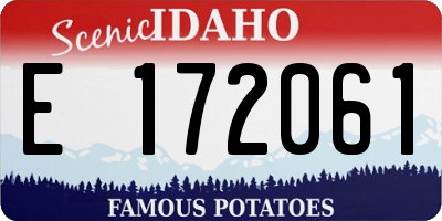 ID license plate E172061