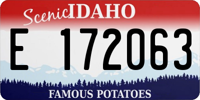 ID license plate E172063